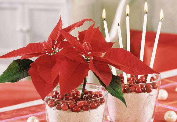 centros de mesa con flores de pascua y decoración con flores en navidad