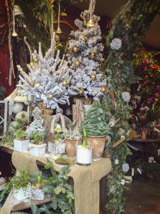 Ideas para decorar con flores y plantas en navidad